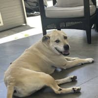 Photo of Cognac And Teddy