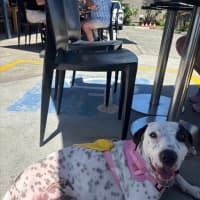 Photo of Matilda