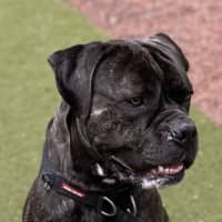 Photo of Duncan