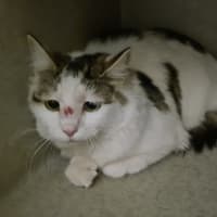Photo of Lainey 
