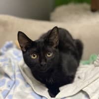 Photo of Orby