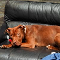 Photo of Coco