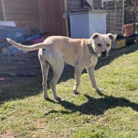 Photo of Astro
