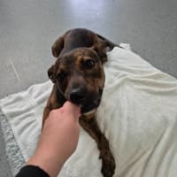 Photo of Toohey! 🍻