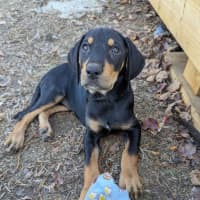 Photo of Anais Watterson