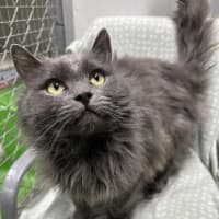 Photo of Belle