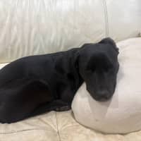Photo of Luca