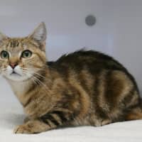 Photo of Shelby Sua013311