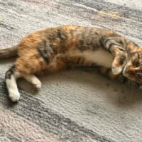 Photo of Nixie
