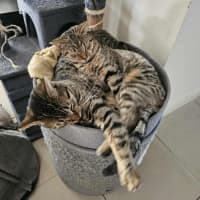 Photo of Mia And Frankie 