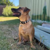 Photo of Maisey