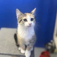 Photo of La La