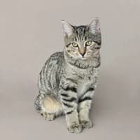 Photo of Mirchi