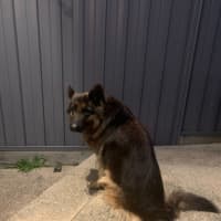Photo of Bonnie