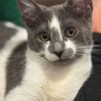 Photo of Jemima 