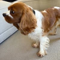 Photo of Mia
