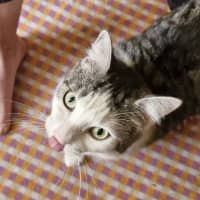 Photo of Tabitha