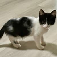 Photo of Jessie