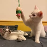 Photo of Evacuation Plan