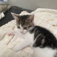 Photo of Arizona Appleby