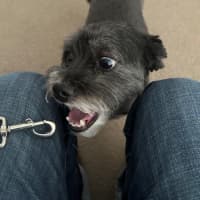 Photo of Cooper Xenos