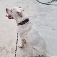 Photo of Zeus 