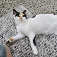 Photo of Mitzi