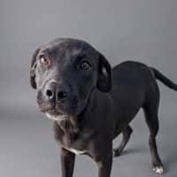 Photo of Thelma