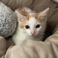 Photo of Jasper 