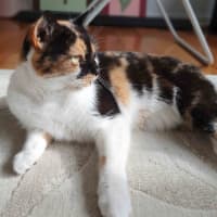 Photo of Queen Mimmi