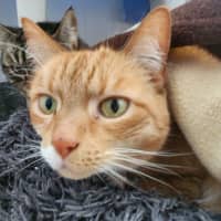 Photo of Princess And Skittles