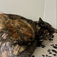 Photo of Madeline 
