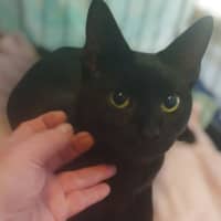Photo of Sooty