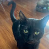 Photo of Bellatrix 