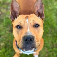 Photo of Reuben