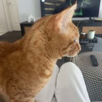 Photo of Teddy ❤️