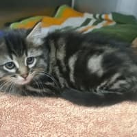 Photo of Rosalita