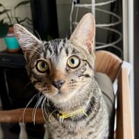 Photo of Frank