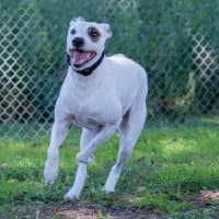 Photo of Mabel