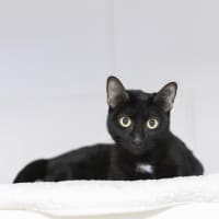 Photo of Miss Whimsy