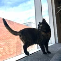 Photo of Kitlyn   Located In Preston