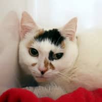 Photo of Emma Sta012305