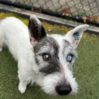 Photo of Walter