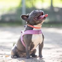 Photo of Nora