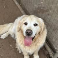 Photo of Jax