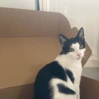 Photo of Rocky