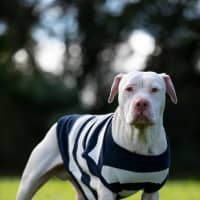 Photo of George