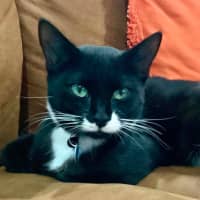 Photo of Buster