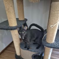 Photo of Ruby