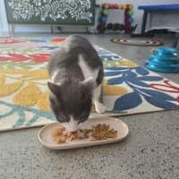 Photo of Hamish